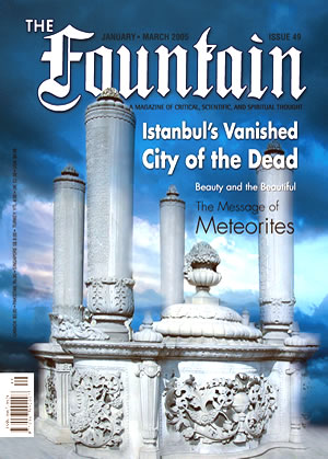 Issue 49 cover